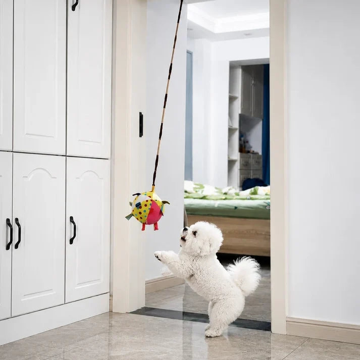 Pet Toys