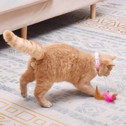 WhiskerBounce Feather Collar Cat Toy