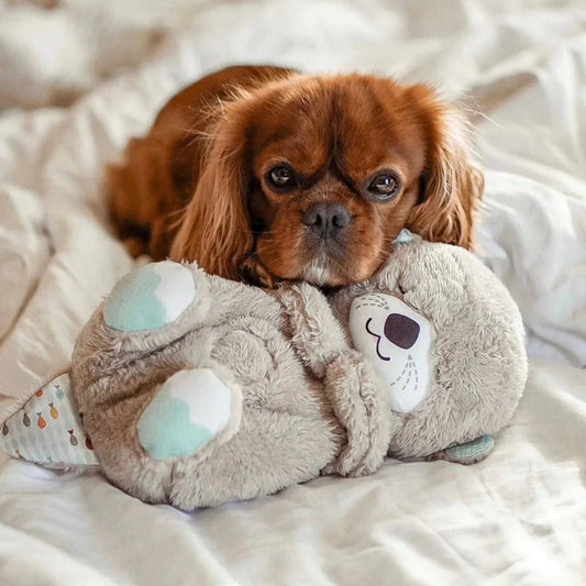 Pets Love Journey Buddy