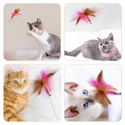 WhiskerBounce Feather Collar Cat Toy