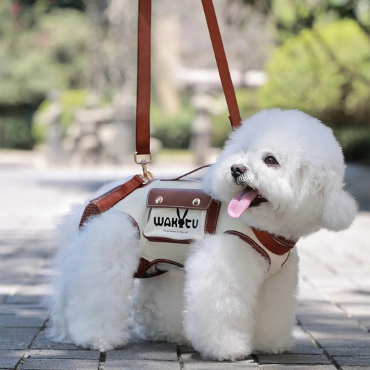 Dog Carrier