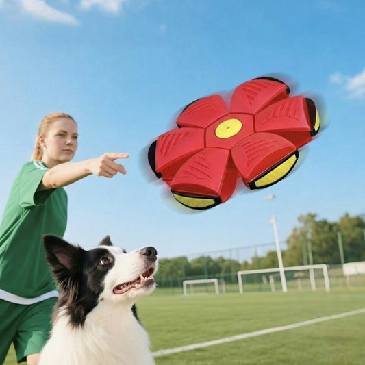 Pets Love Journey BouncePop Ball