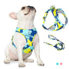 Pets Love Journey Adjustable Dog & Cat Harness with Leash