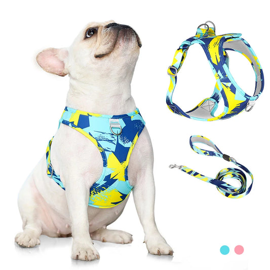 Pets Love Journey Adjustable Dog & Cat Harness with Leash