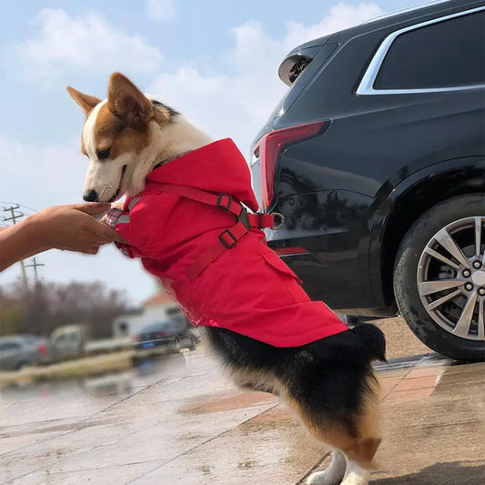 Pets Love Journey Waterproof Puppy Raincoat with Leash Ring