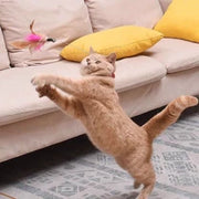 WhiskerBounce Feather Collar Cat Toy