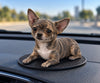 Brindle Chihuahua puppy dashboard figurine on car dashboard mat