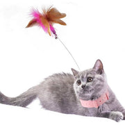WhiskerBounce Feather Collar Cat Toy