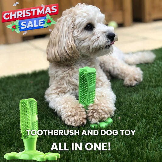 Pets Love Journey Toothbrush Toy