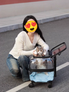 Pets Love Journey Transparent Pet Travel Trolley
