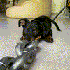 Simulated Chain Traction Rope